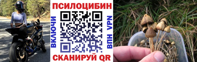 Галлюциногенные грибы Cubensis  МЕГА ССЫЛКА  Ясный  закладка 
